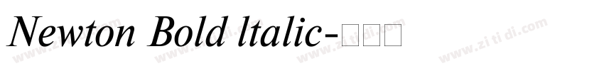 Newton Bold ltalic字体转换